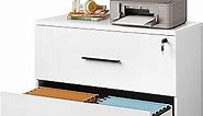 DEVAISE 2-Drawer Wood Lateral File Cabinet with Lock for Home Office, White