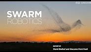 What are Robotic Swarms? An Overview