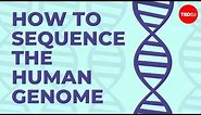 How to sequence the human genome - Mark J. Kiel