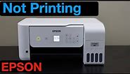 Epson Printer Not Printing ?