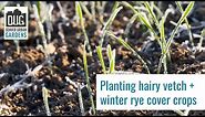 Planting Winter Rye + Hairy Vetch