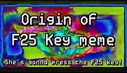 Origin of F25 Key meme