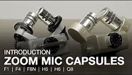 Zoom Mic Capsule Overview