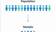 Population vs. Sample | Definitions, Differences & Examples