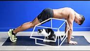 What Cats Think When You Exercise