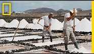 Ever Wonder How Sea Salt Is Made? Find Out Here | National Geographic