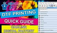 How to use Cadlink Digital Factory for DTF Printing - Cadlink DTF Tutorial (Quick Guide)