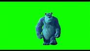 Monsters Inc. - Sulley Walking - Green Screen