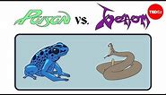 Poison vs. venom: What's the difference? - Rose Eveleth