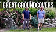 10 Great Groundcovers for your Garden