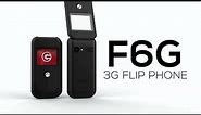 Logic F6G 3G Flip phone