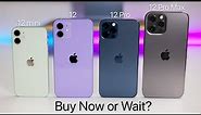 iPhone 12, 12 mini, 12 Pro and 12 Pro Max - Buy Now or Wait for iPhone 13?