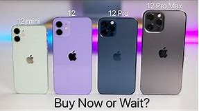 iPhone 12, 12 mini, 12 Pro and 12 Pro Max - Buy Now or Wait for iPhone 13?