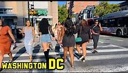 Sunday in Washington DC , Stroll in 4K, 14 streets, U street, USA 🇺🇸