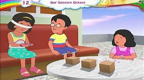 Sensory Organs For Kids | Sensory Organs And Their Functions | Five 5 Senses | Science | Grade 3