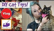 How to Make Two Easy DIY Cat Toys! The Easiest Cat Toys to Make!