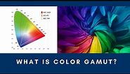 What are Color Gamut? Everything you need to know about REC.709, REC.2020 & DCI-P3 color standards