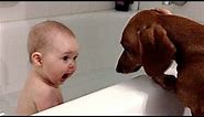 FUNNY BABY & KID VIDEOS that will make you LAUGH & HAPPY - Funny & cute compilation