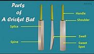 Parts of a Cricket Bat | Various Parts of a Cricket Bat | Cricket Bat Parts names