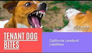 Tenant Dog Bites: California Landlord Liabilities