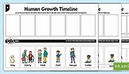Human Growth Timeline Worksheet