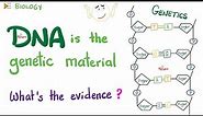 DNA is the genetic material | The Evidence! | Biology Lectures
