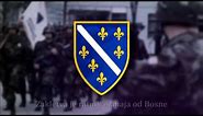 Esso Beštija - Brigada "Zmaj od Bosne" / patriotic Bosnian song