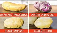 Trying Every Type Of Potato | The Big Guide | Epicurious