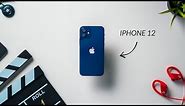 The Best iPhone 12? - 1 Year Later Review!