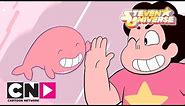 Steven Universe | The Temple Door | Cartoon Network