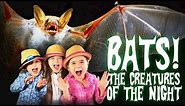 Bats for Kids | All About Bats | Bats: The Creatures of The Night