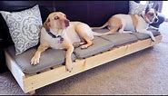 Modern Platform Dog Bed - Large Dog Bed // DIY How-To