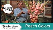 Peach Colors, Tree Planting Tips and Recipes | Garden Style (814)