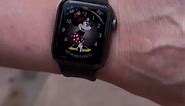 Your Apple Watch functions as a Magic Band. #disneytravelagent #disneytraveltips #magicband