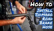How to Install a Shimano Road Brake Hose