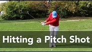 How to Hit a Pitch Shot from 20 Yards | Golf Instruction | My Golf Tutor