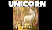 Dungeons and Dragons Lore: Unicorn