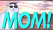 HAPPY BIRTHDAY MOM! - EPIC CAT Happy Birthday Song