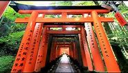 Fushimi Inari - 10,000 Torii Gates in Kyoto, Japan