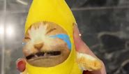 Banana Cat,Don’t Cry #goodthing #foryou #toy #bananacat