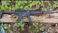 Walther HK MP5 A5 22LR Tactical Rimfire Rifle Review