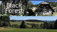 GERMANY: Black Forest, sights & scenery 4K