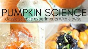 Pumpkin Science Experiments - Little Bins for Little Hands