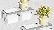 Ziliny 2 Pcs Double Toilet Paper Holder with Shelf Roll Tissue Holder Toilet Paper Dispenser Toilet Paper Wall Mount Commercial Toilet Paper Shelf for Mobile Phone Bathroom Storage, Stainless Steel