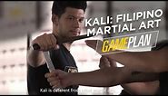 Kali: Filipino Martial Art