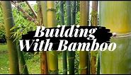 Building with Bamboo: Framing a Roof