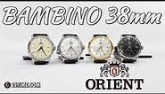ORIENT Bambino 38mm Mechanical Classic Watch Collection
