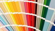 The Best Website Color Palettes to Increase Engagement (2024)