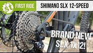 TESTED | Shimano Has A New 12-Speed SLX Groupset