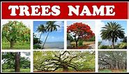 Trees Names | Names of trees for kids | Names of Trees in English | Names of Trees with pictures